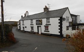 The Hawk & Buckle Inn